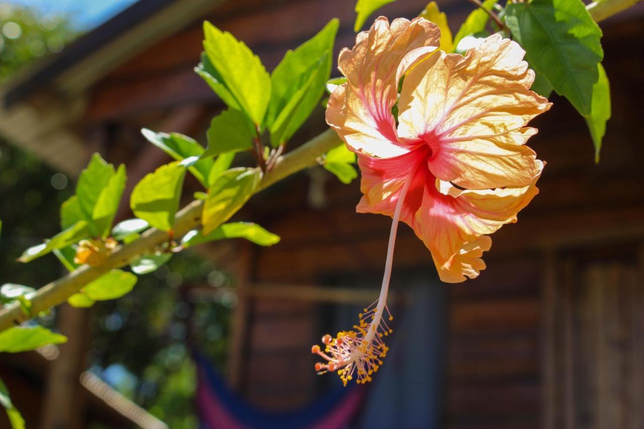 The Lighthouse Retreat, Little Corn Island, Nicaragua酒店 外观 照片