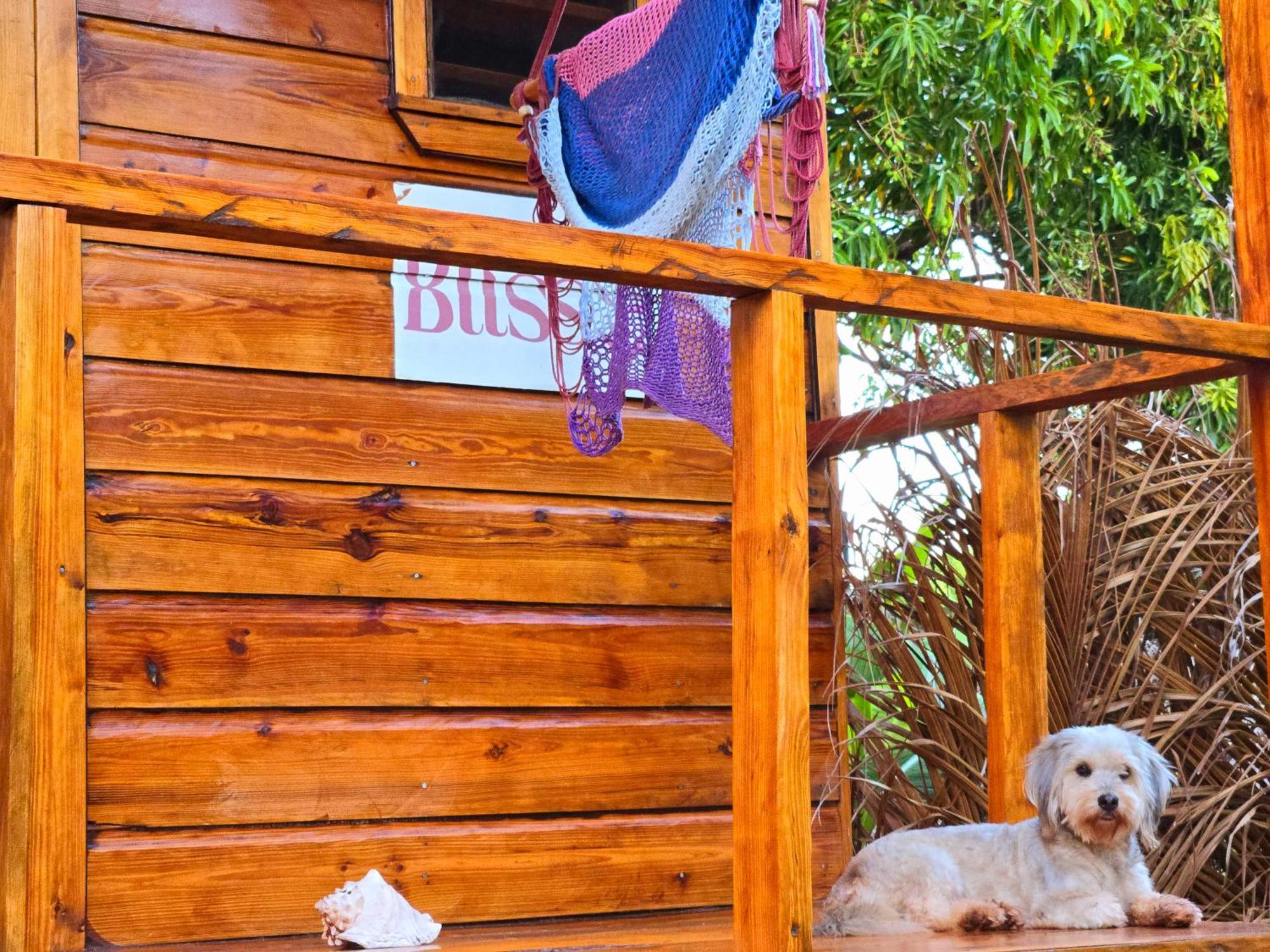 The Lighthouse Retreat, Little Corn Island, Nicaragua酒店 外观 照片