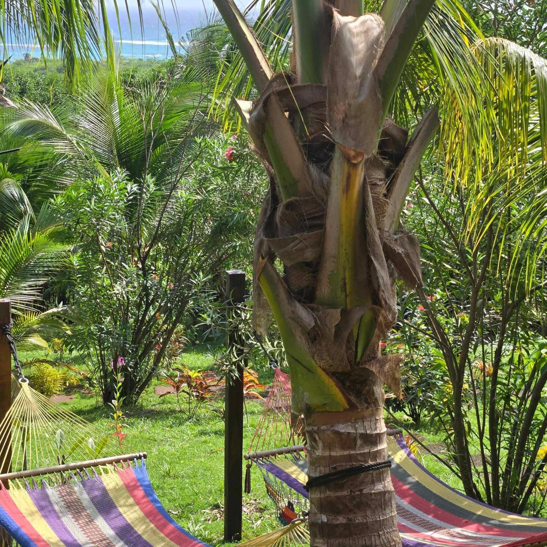 The Lighthouse Retreat, Little Corn Island, Nicaragua酒店 外观 照片
